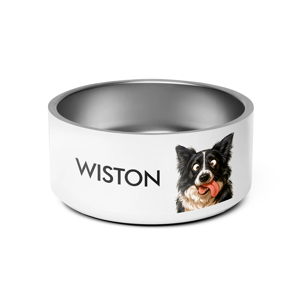 Custom Pet Portrait Bowl - Quirky